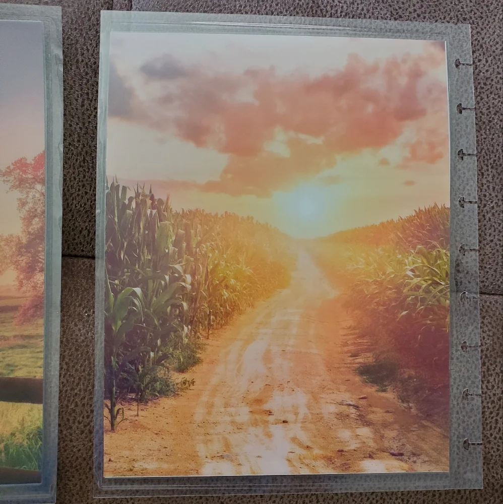 Handmade cover For A classic sized Disc Bound Planner Psalm 84:11 field scenes